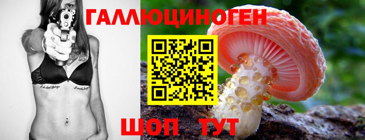 Галлюциногенные грибы Cubensis  Галлюциногенные грибы GOLDEN TEACHER  Вход с VPN  хочу наркоту  Азнакаево 